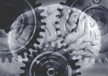 Hjärna och kugghjul