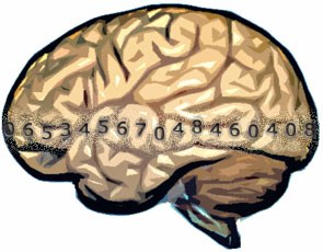 Hjärna och sifferserie